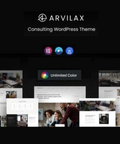 Arvilax business consulting wordpress theme - EspacePlugins - Gpl plugins cheap