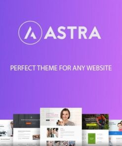 Astra wordpress theme - EspacePlugins - Gpl plugins cheap