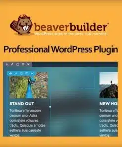 Beaver builder professional wordpress plugin - EspacePlugins - Gpl plugins cheap