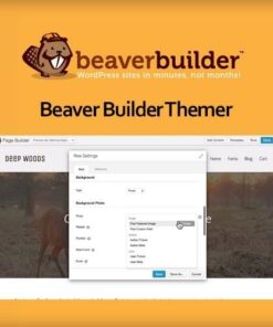 Beaver builder themer - EspacePlugins - Gpl plugins cheap