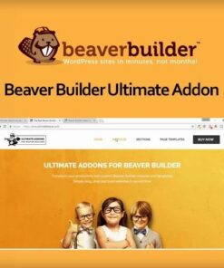 Beaver builder ultimate addon - EspacePlugins - Gpl plugins cheap