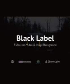 Black label fullscreen video and image background - EspacePlugins - Gpl plugins cheap