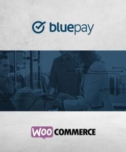 Bluepay payment gateway - EspacePlugins - Gpl plugins cheap