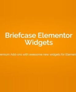 Briefcase elementor widgets - EspacePlugins - Gpl plugins cheap