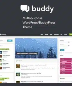 Buddy simple wordpress and buddypress theme - EspacePlugins - Gpl plugins cheap