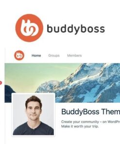 Buddyboss theme - EspacePlugins - Gpl plugins cheap
