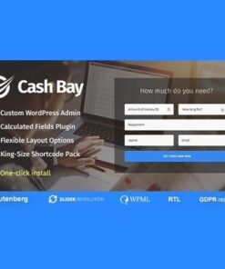 Cash bay banking and payday loans wordpress theme - EspacePlugins - Gpl plugins cheap