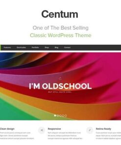 Centum responsive wordpress theme - EspacePlugins - Gpl plugins cheap