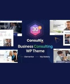 Consultix business consulting wordpress theme - EspacePlugins - Gpl plugins cheap