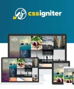 Css igniter coastline wordpress theme - EspacePlugins - Gpl plugins cheap