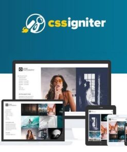 Css igniter lense wordpress theme - EspacePlugins - Gpl plugins cheap
