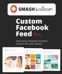 Custom facebook feed pro by smash balloon - EspacePlugins - Gpl plugins cheap