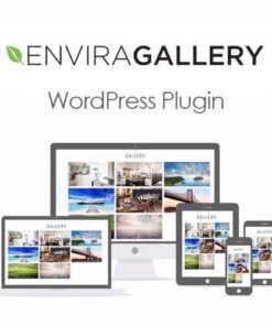 Envira gallery wordpress plugin - EspacePlugins - Gpl plugins cheap