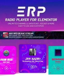 Erplayer radio player for elementor - EspacePlugins - Gpl plugins cheap