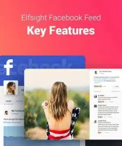 Facebook feed wordpress facebook plugin - EspacePlugins - Gpl plugins cheap