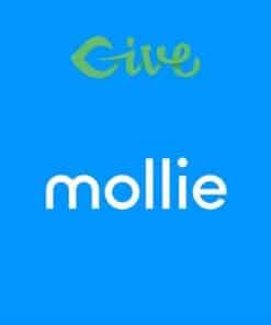 Give mollie payment gateway - EspacePlugins - Gpl plugins cheap