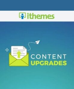 Ithemes content upgrades - EspacePlugins - Gpl plugins cheap