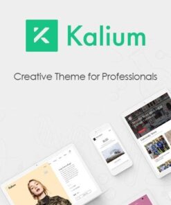 Kalium creative theme for professionals - EspacePlugins - Gpl plugins cheap