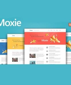 Moxie responsive theme for wordpress - EspacePlugins - Gpl plugins cheap