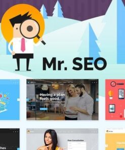 Mr seo seo marketing agency and social media theme - EspacePlugins - Gpl plugins cheap