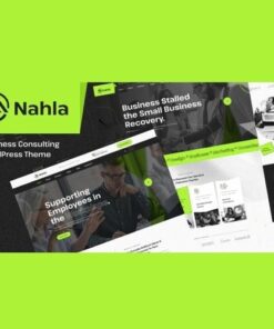Nahla business consulting wordpress theme - EspacePlugins - Gpl plugins cheap