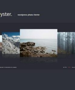 Oyster creative photo wordpress theme - EspacePlugins - Gpl plugins cheap