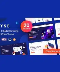 Ryse seo and digital marketing theme - EspacePlugins - Gpl plugins cheap