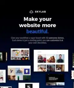 Skylab portfolio photography wordpress theme - EspacePlugins - Gpl plugins cheap