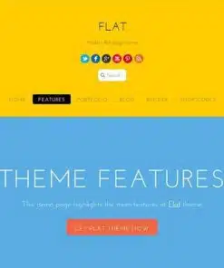 Themify flat wordpress theme - EspacePlugins - Gpl plugins cheap