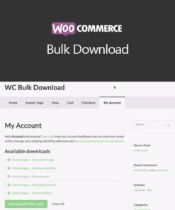 Woocommerce bulk download - EspacePlugins - Gpl plugins cheap