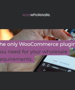 Woocommerce wholesale pricing - EspacePlugins - Gpl plugins cheap