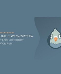 Wp mail smtp pro - EspacePlugins - Gpl plugins cheap