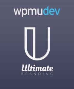 Wpmu dev ultimate branding - EspacePlugins - Gpl plugins cheap